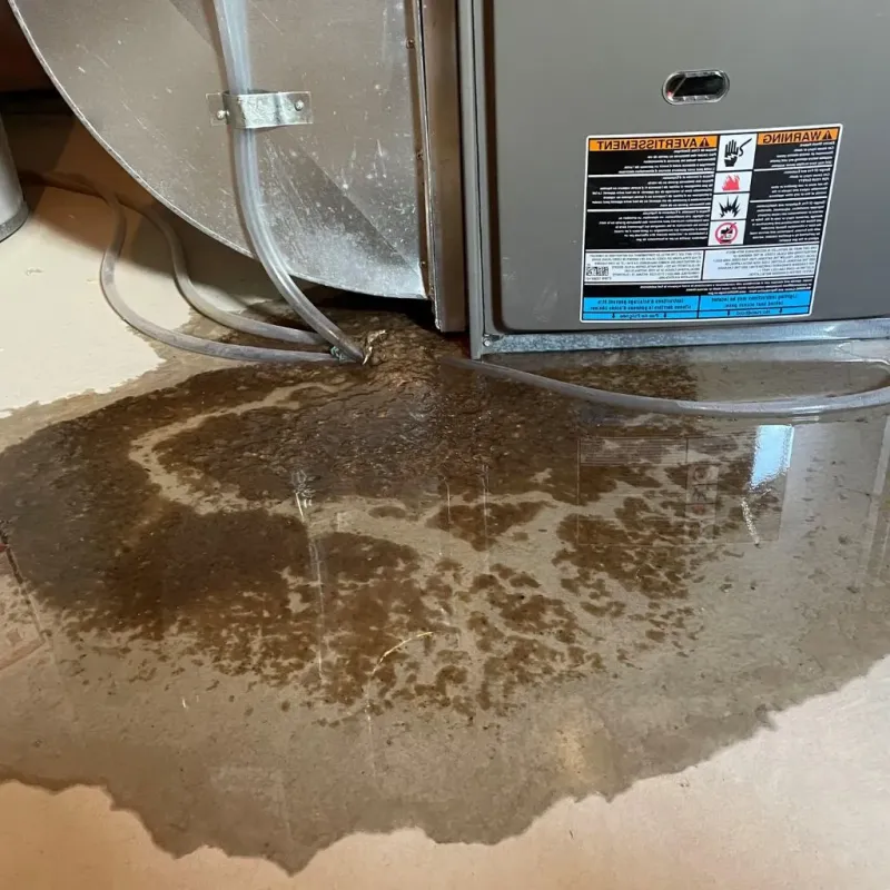 Pipe Burst and Leak Restoration in Jauca, PR